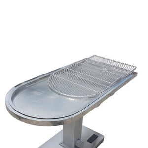 Stainless Veterinary Electric Lifting Treatment Table