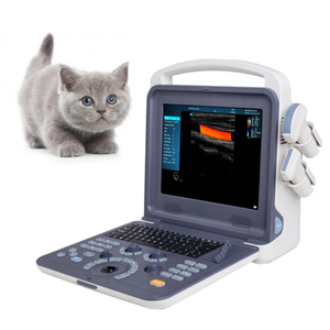 Portable Digital Veterinary Ultrasound Scanner color doppler